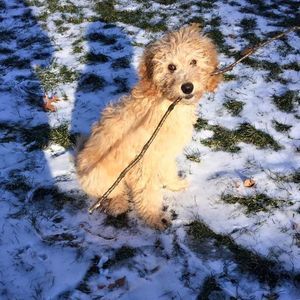 Meet your Posher, Maddy